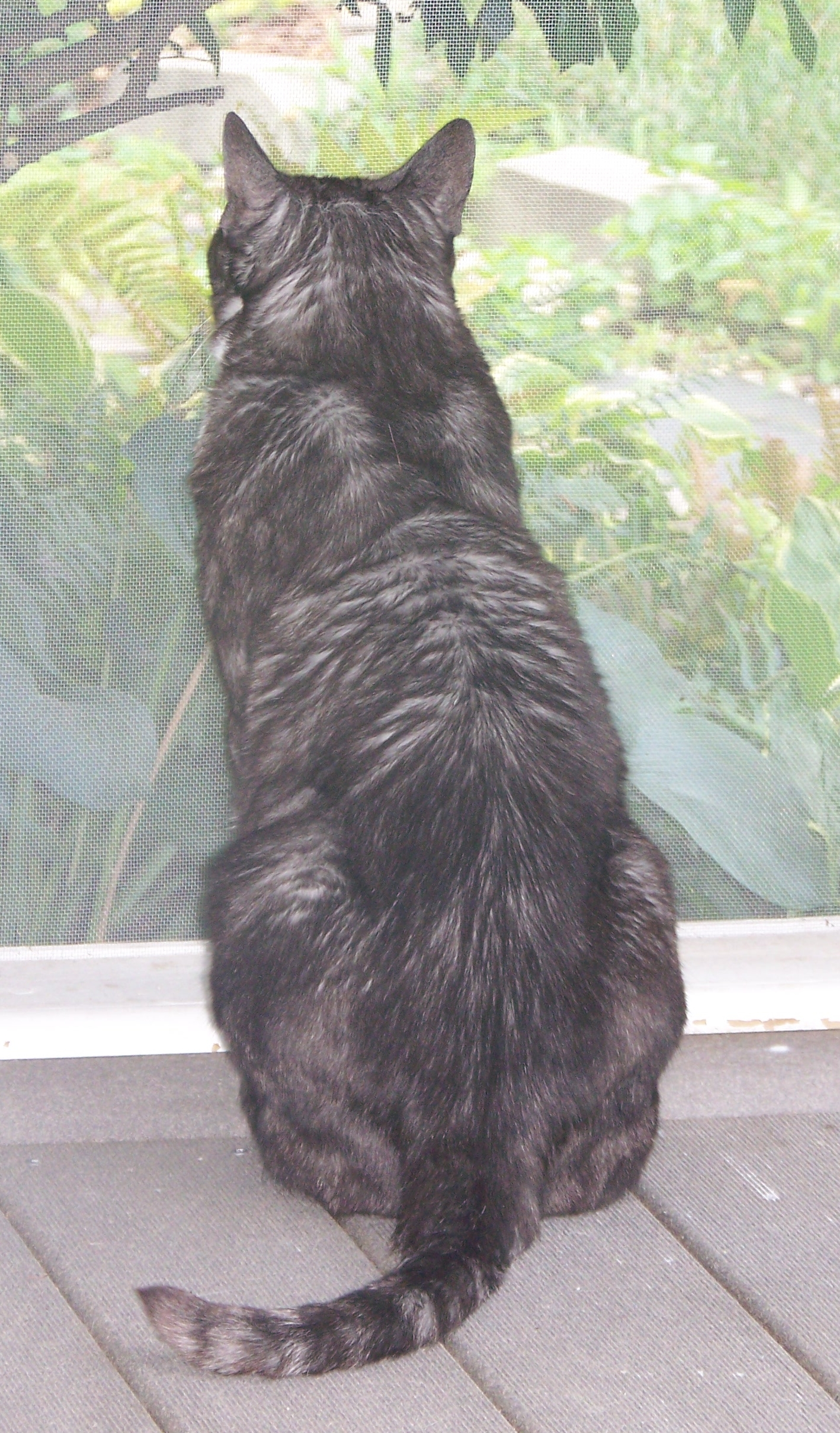 084 - Copy This photo really shows his masculine figure and his coat beautifully.