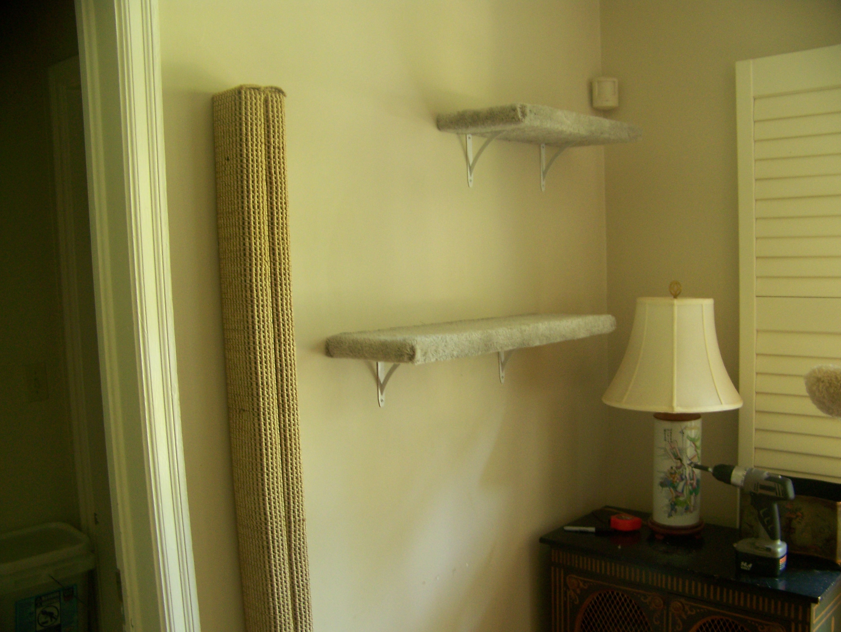 Another six foot tall scratching post and shelves leading to a long run above the window.