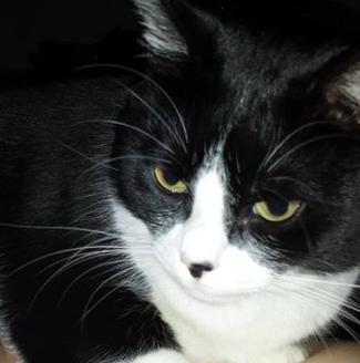 Testimonials--element104 Charlee spending time with her mom and NOT biting her!
