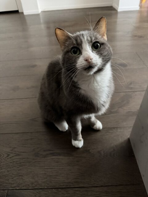 So adorable! And now, more plump!