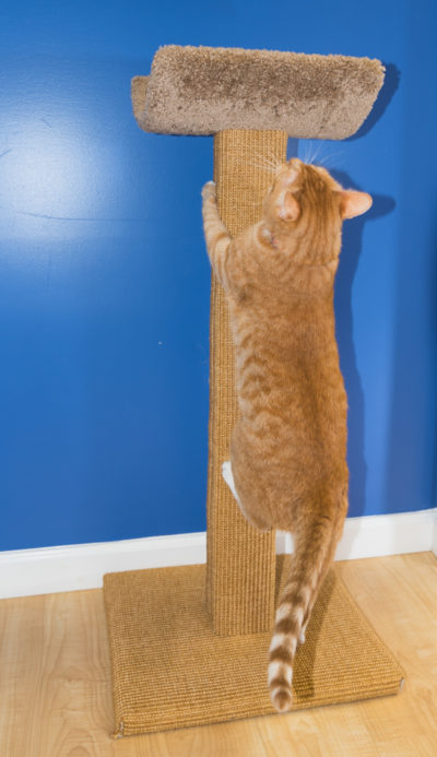 Scratching Post with Scooped Bed - Image 10