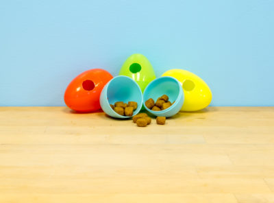 Foraging Eggs