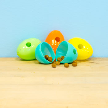 Foraging Egg Mini