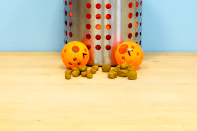 Foraging Ping Pong Balls - Image 2