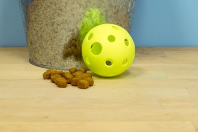 Foraging Ping Pong Balls