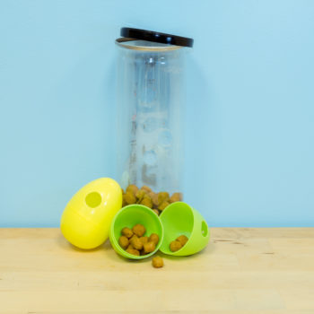 Foraging Toy Starter Kit