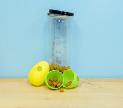 Foraging Toy Starter Kit