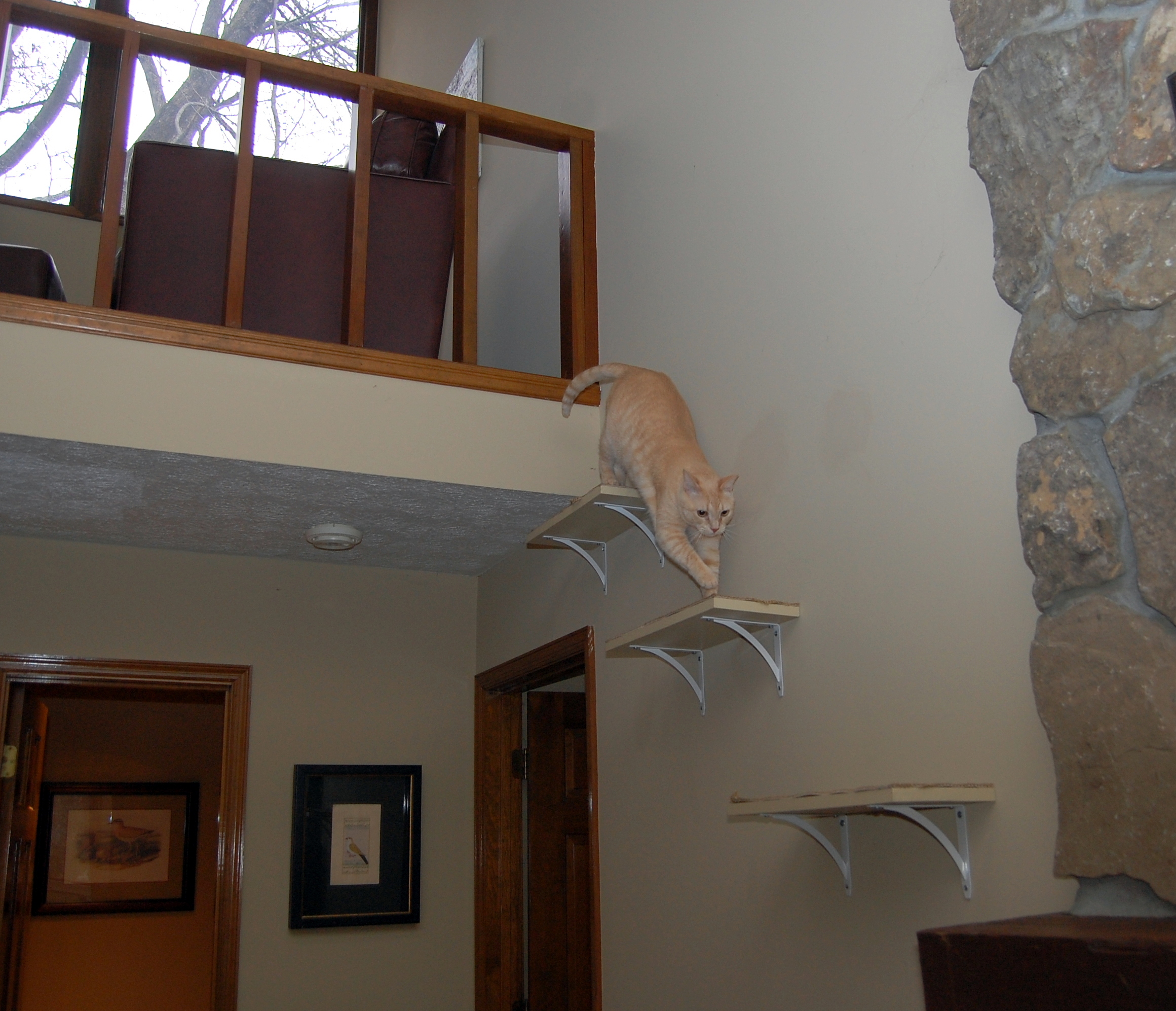 Robin exiting loft to sisaled steps to the mantle!