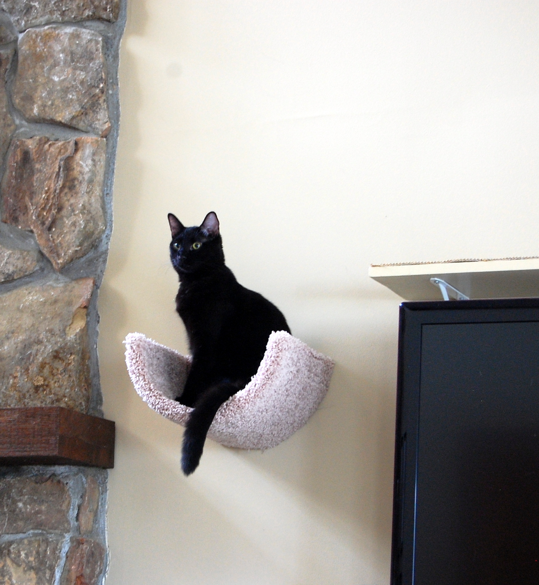 Custom built vertical space by Fundamentally Feline. 