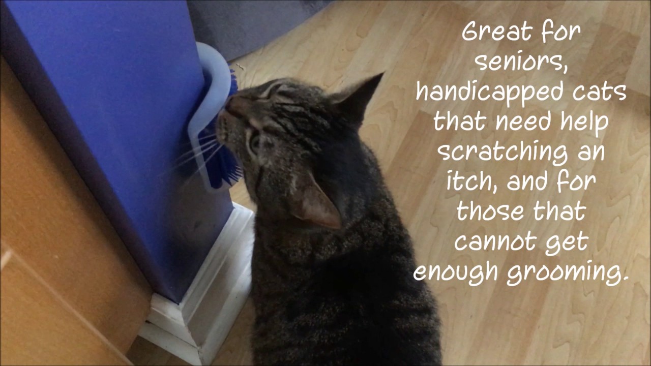 Facial Scent Marking Fundamentally Feline