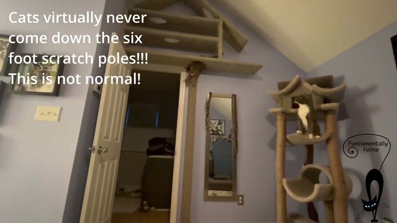 Gallery image with a fresh perspective