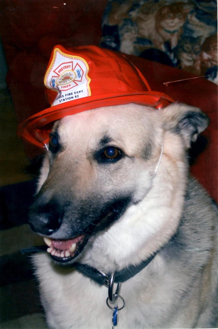 Fireman Nilius (Copy) Fireman Nilius to the resuce!
