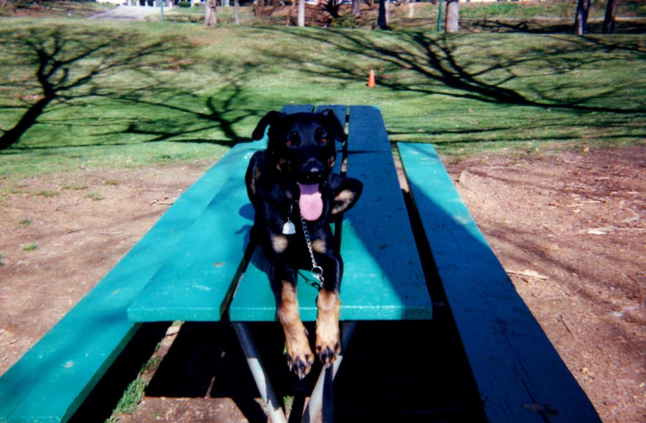 Old skool picnic table hopping, Grant!