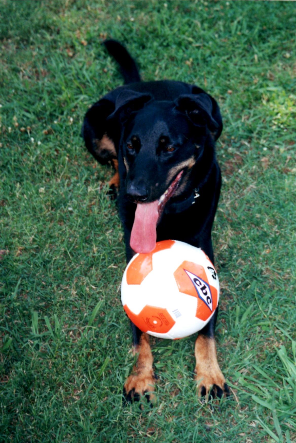 Full sized soccer balls were a favorite toy.