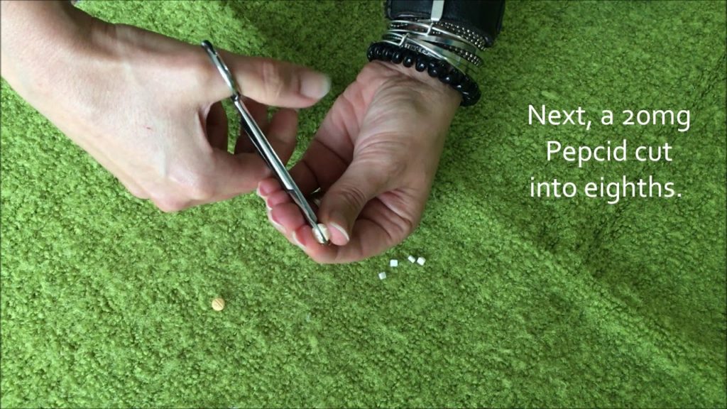 HowTo Videos Fundamentally Feline