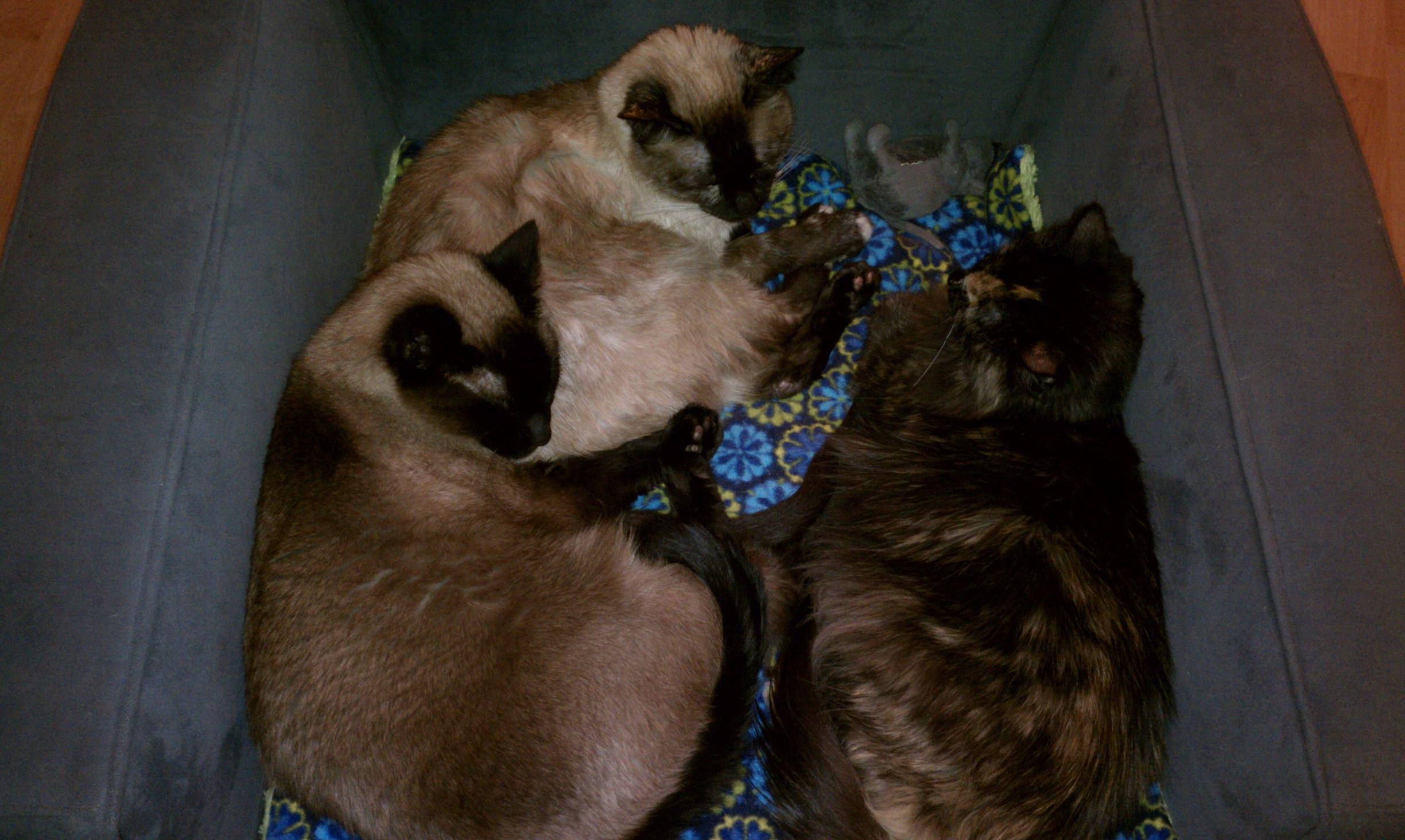 Cuddling with his mother and sister.