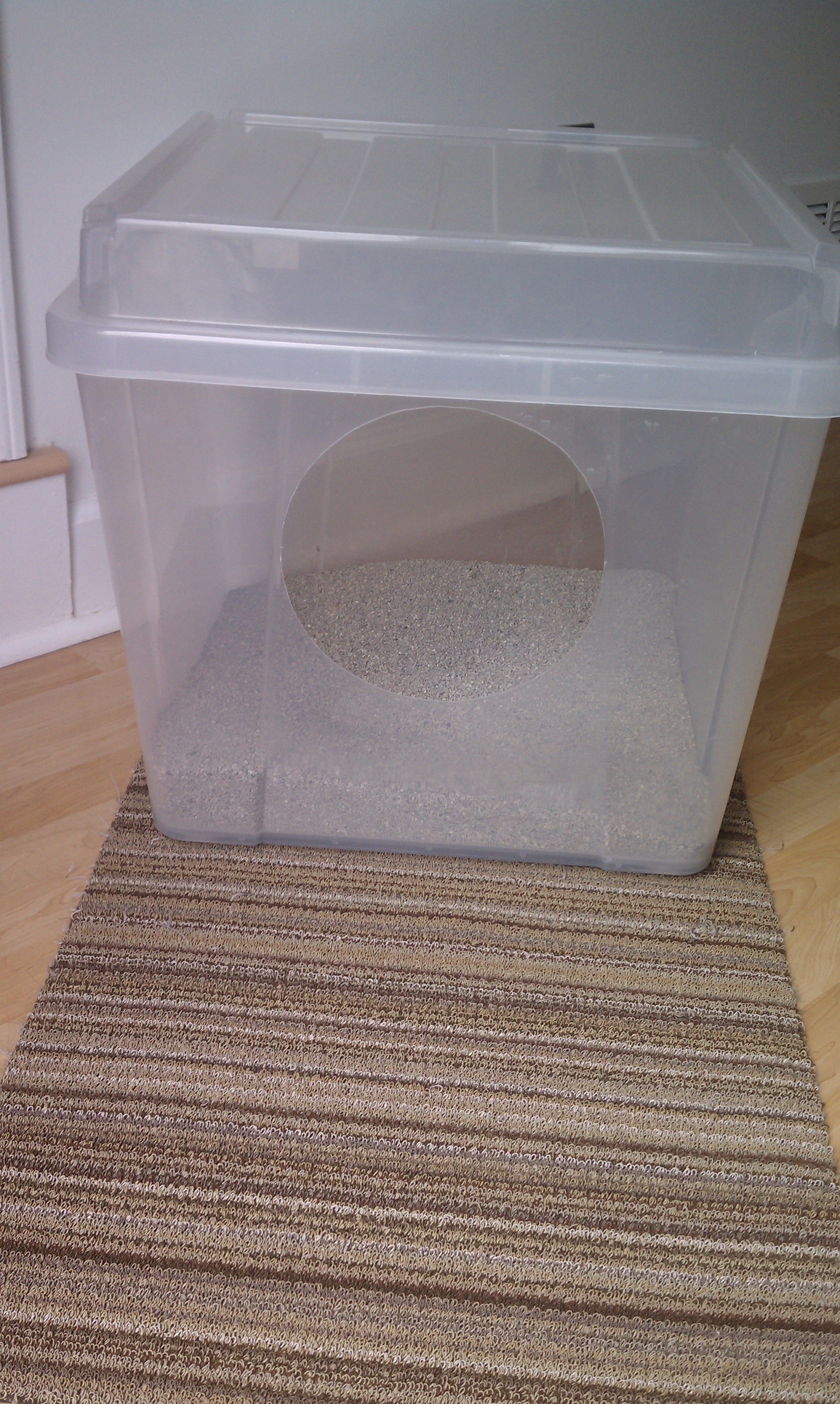 The Second Best Litter Box A hooded box that is 100% clear.
