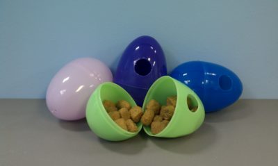 Foraging Eggs - Image 3
