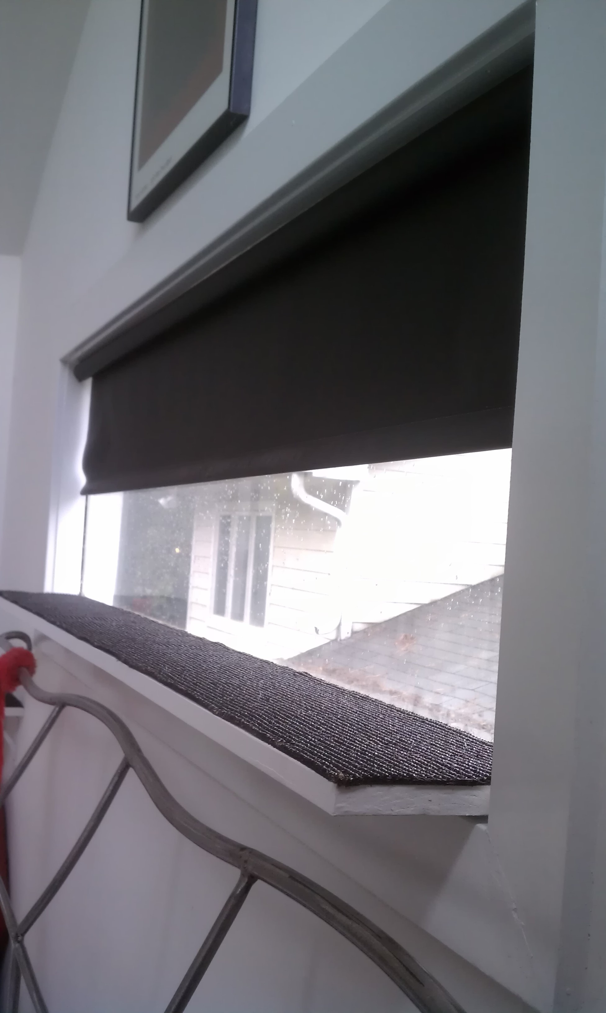 IMAG0779 Black sisaled run in long window above bed.