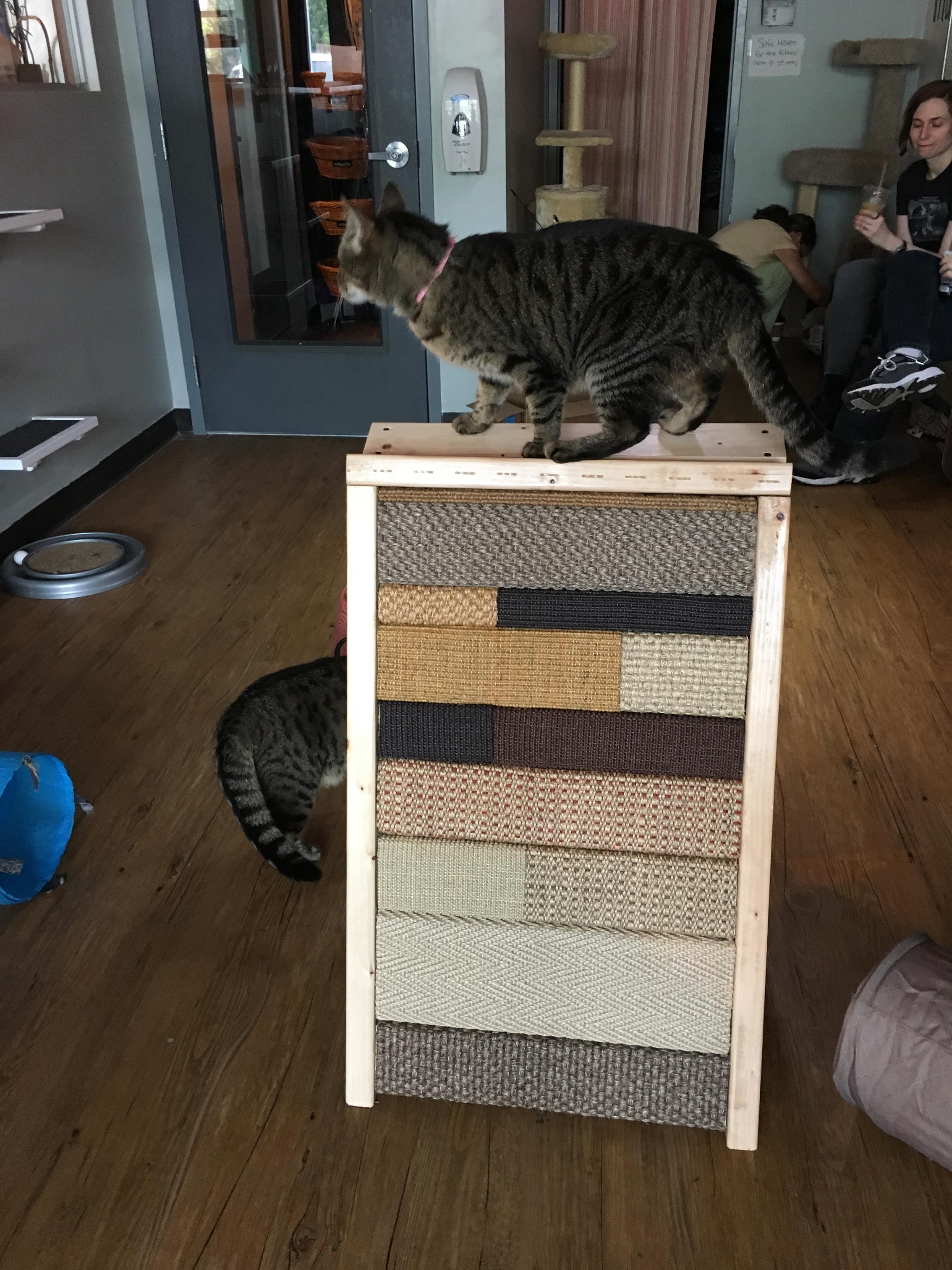 Stylish, rustic modern scratcher and a perch!