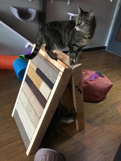Scratch Easel - Image 10