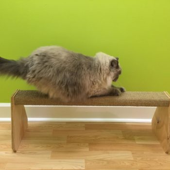 Balance Beam