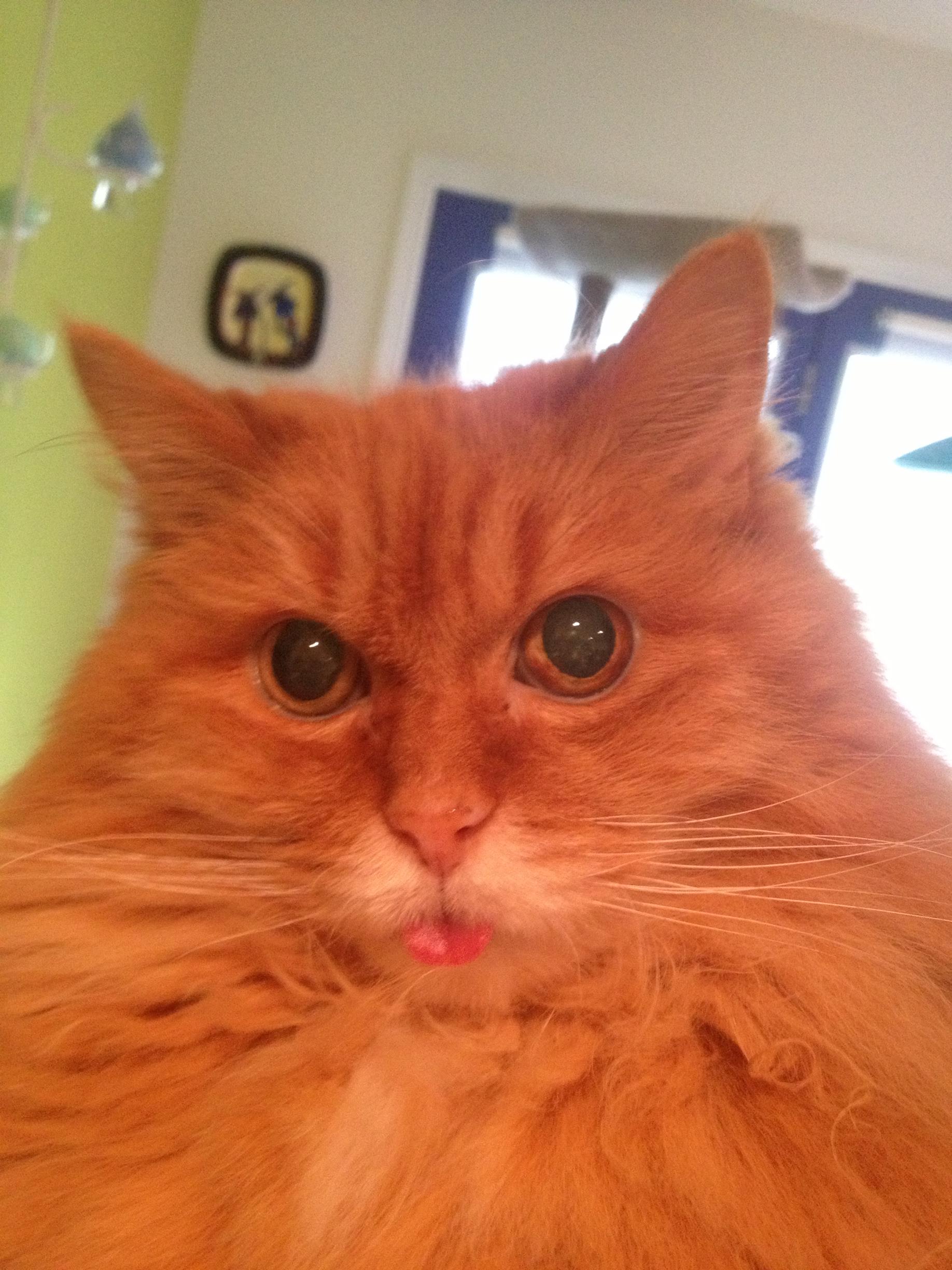Blepping before blepping was cool! 