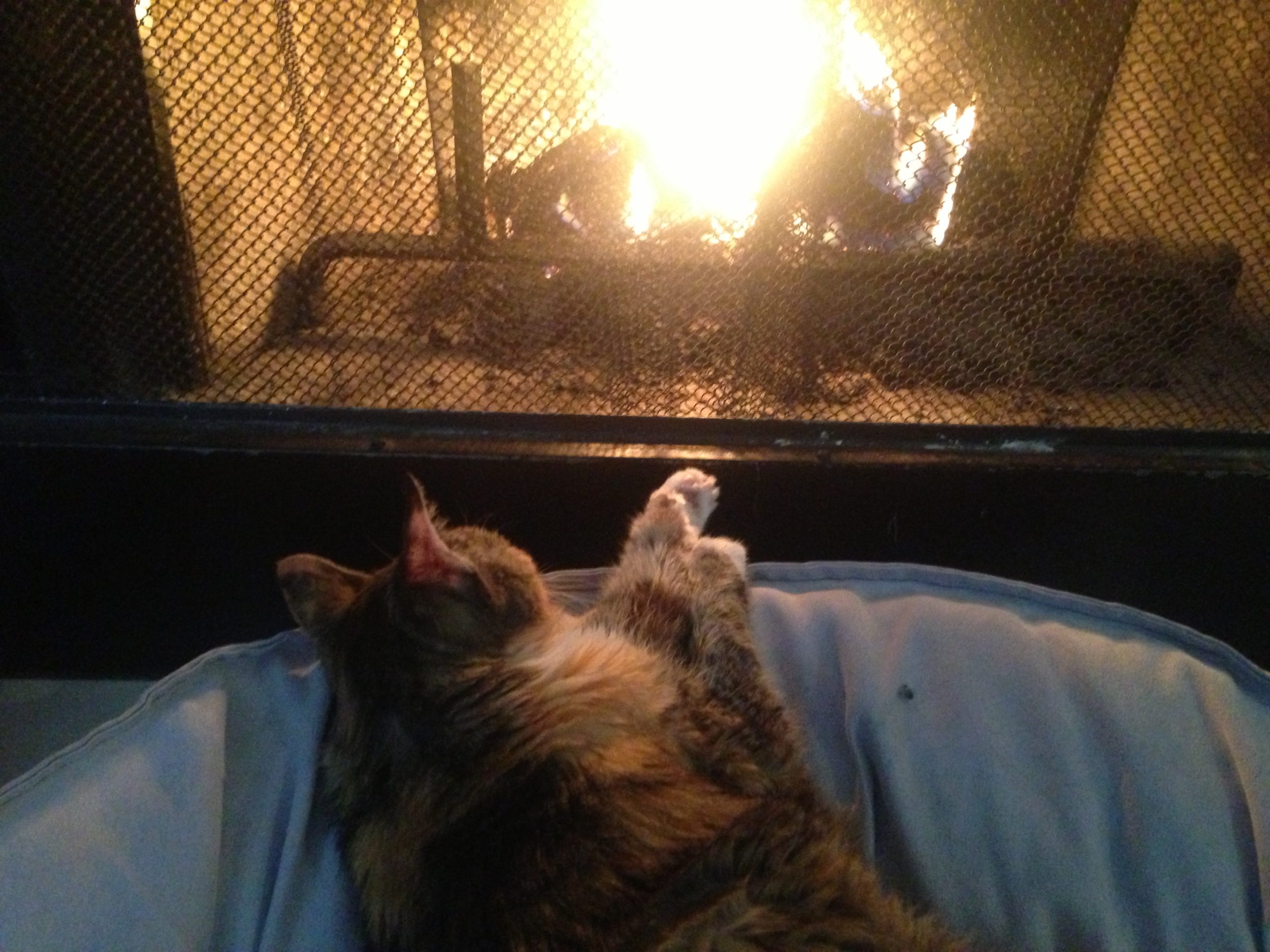 A very senior lady, about 17, enjoying the fire. 