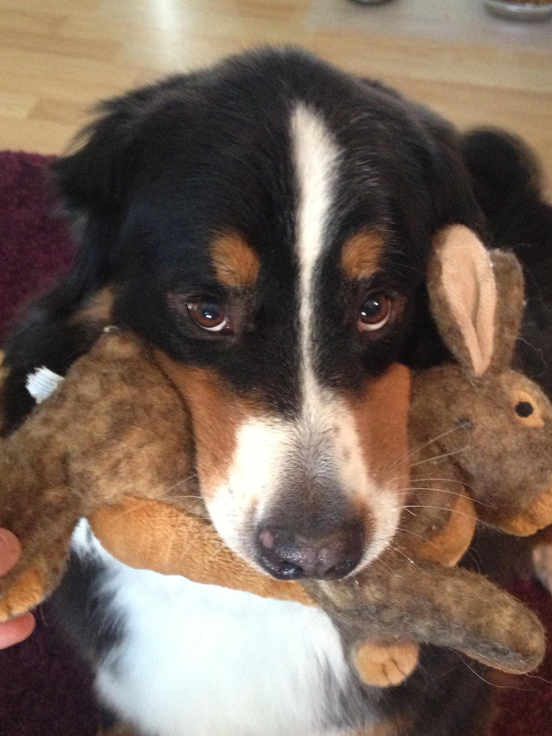 With her bunny.