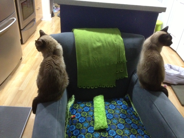 IMG_2077 Bookends!
