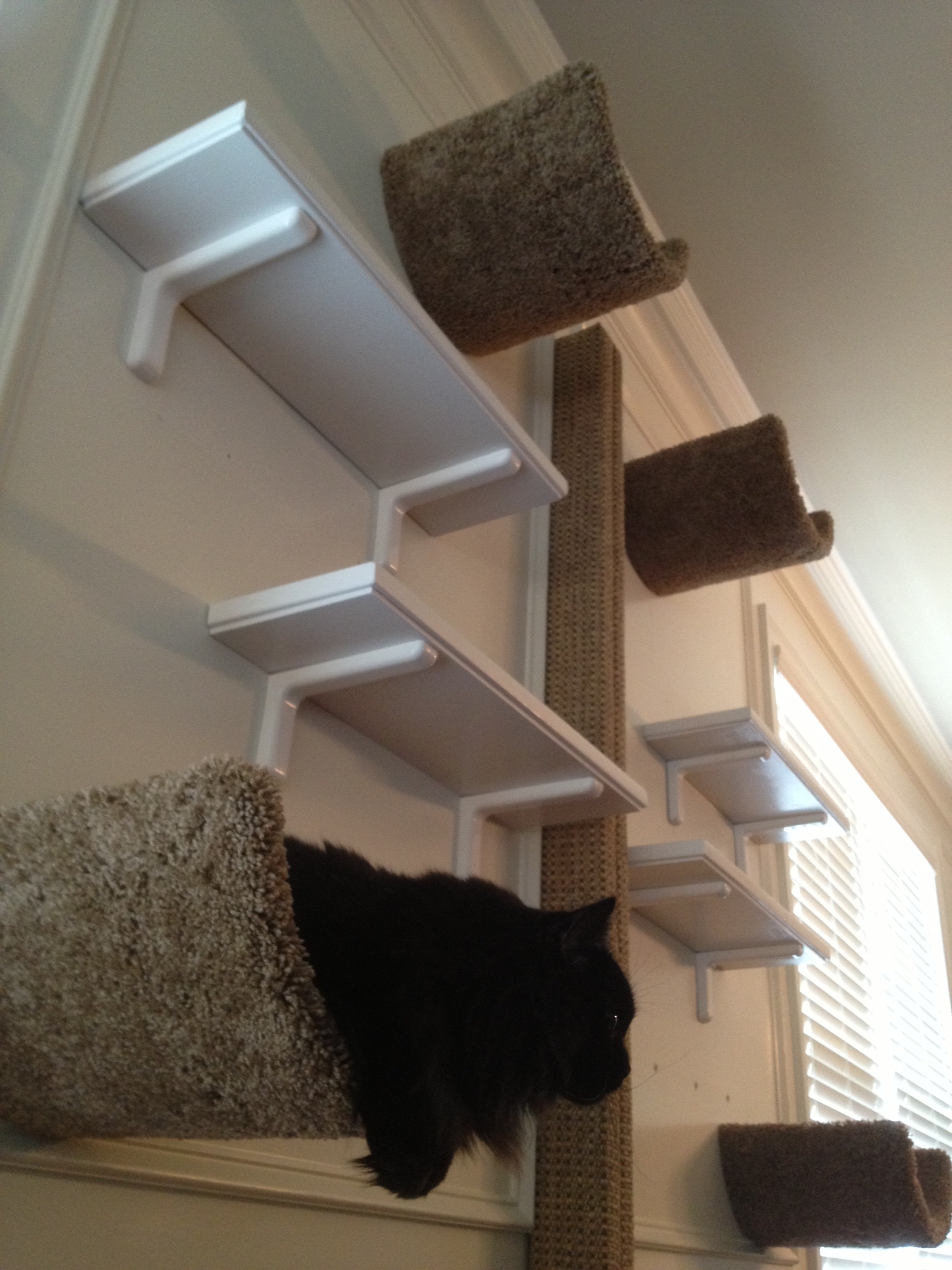 A view of how the runs look from below. A Cats Eye View.