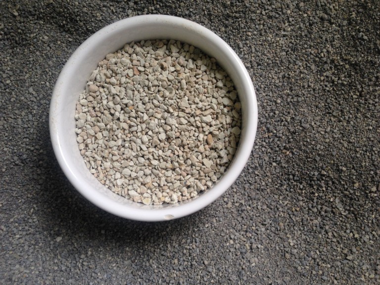 Litter boxes get the scoop part 2! What should it be filled with and