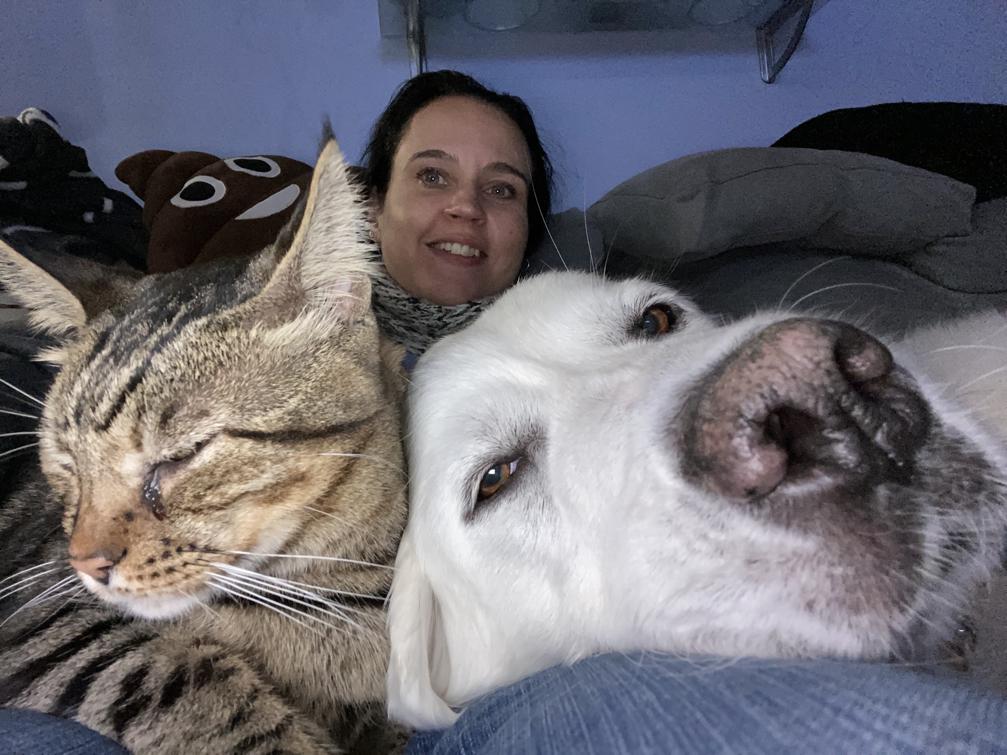 IMG_3128 Me being briefly swallowed by Tonka and Sebastian.