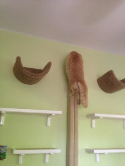Wall Mounted Sisal Scratch Pole 6' - Image 19