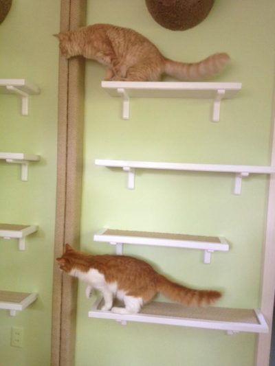 Sisal Cat Run 24" - Image 14