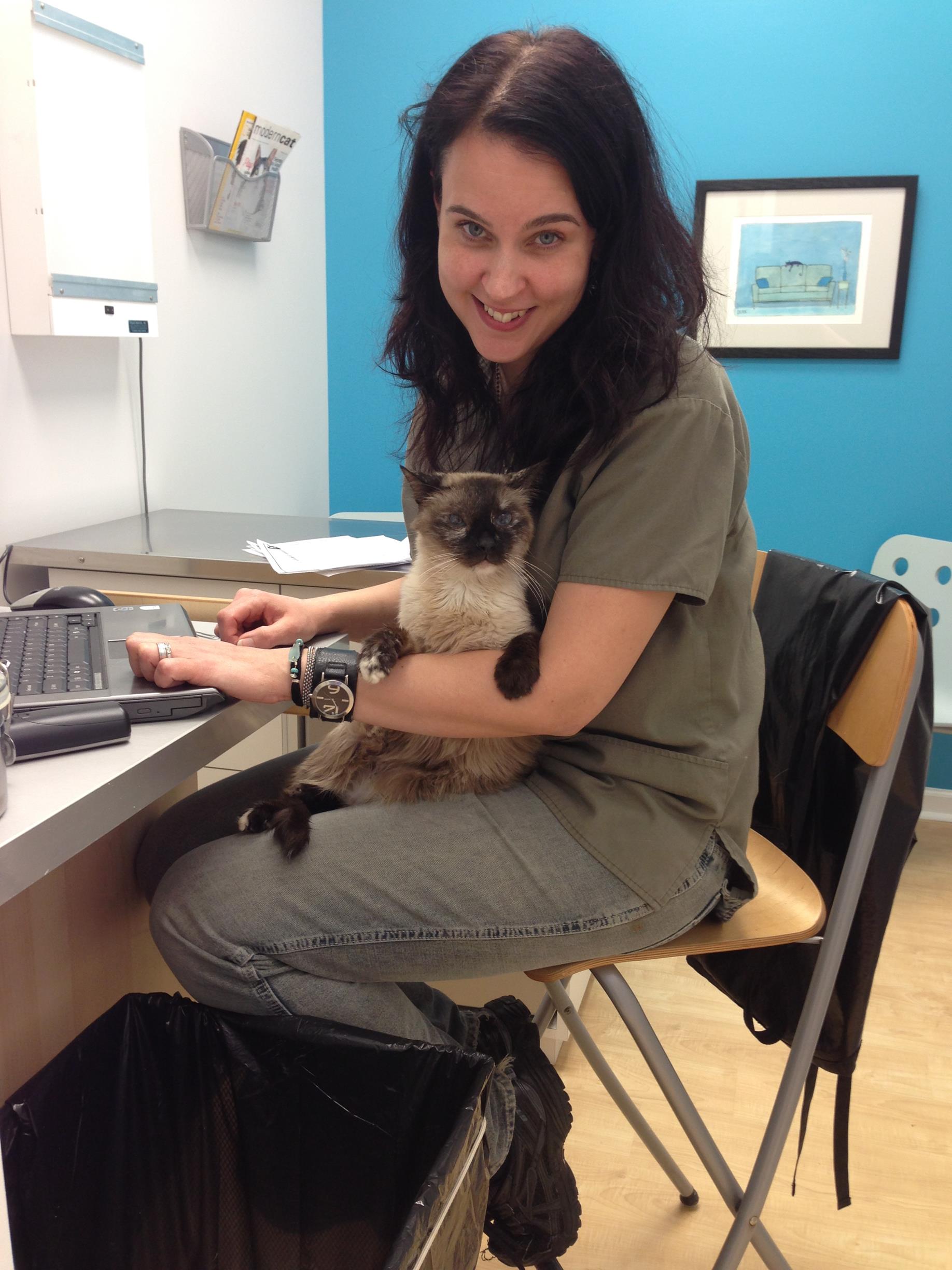 She would stay on my lap for hours while at the computer, even at the clinic!