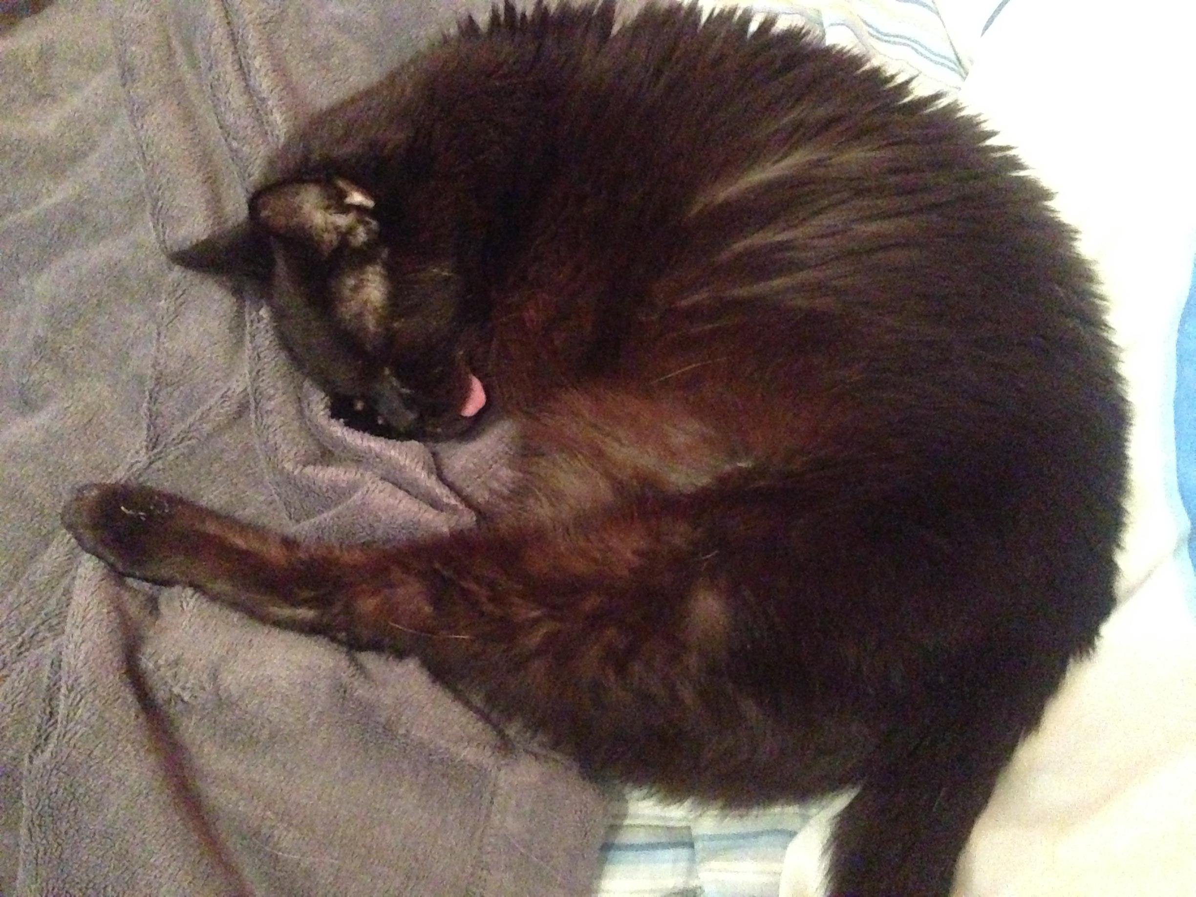 Lefty rocked the "side blep" no teeth so...