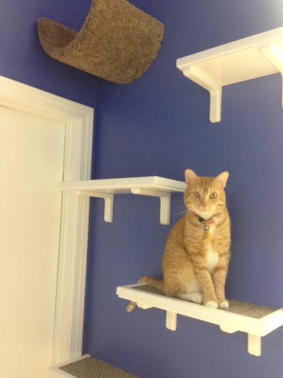 Sisal Cat Run 18" - Image 2