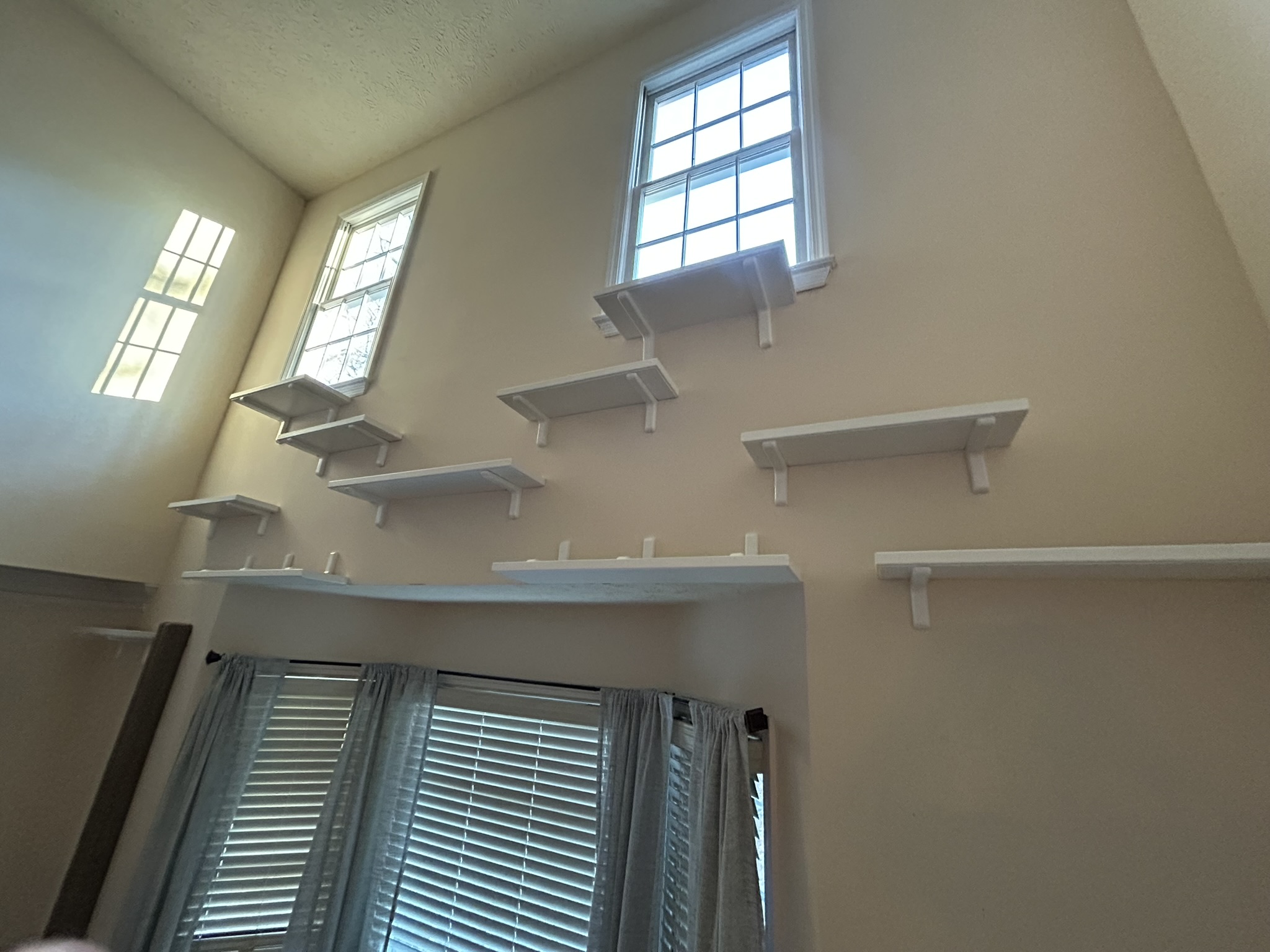 IMG_4312 These high ceilings with elevated windows are just the best for cats!