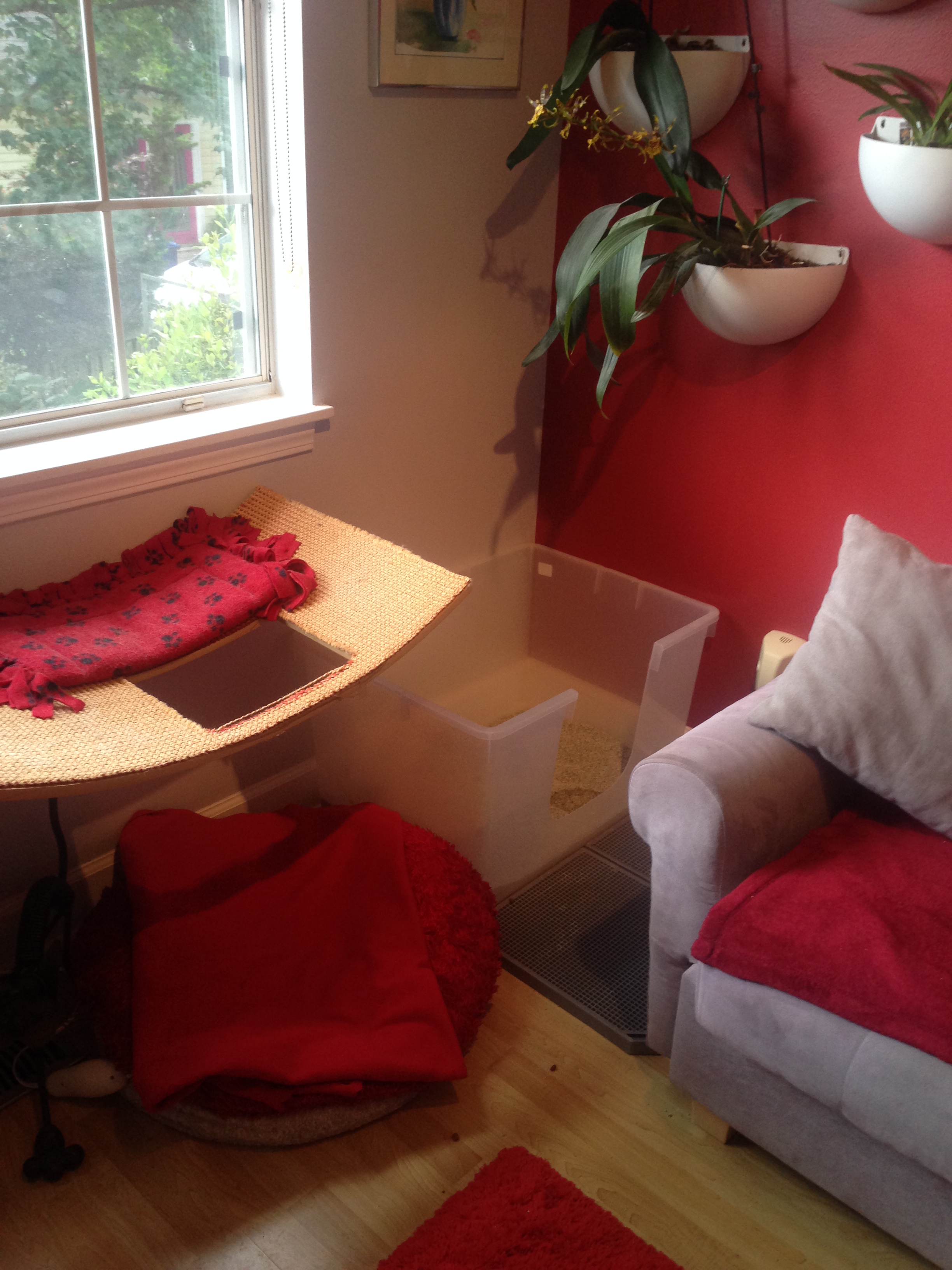 Large box examples in the home. Offers multiple escape routes: jump up, go behind sofa or exit to the front of sofa.