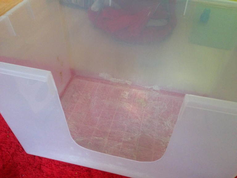 Litter boxes get the scoop part 2! What should it be filled with and