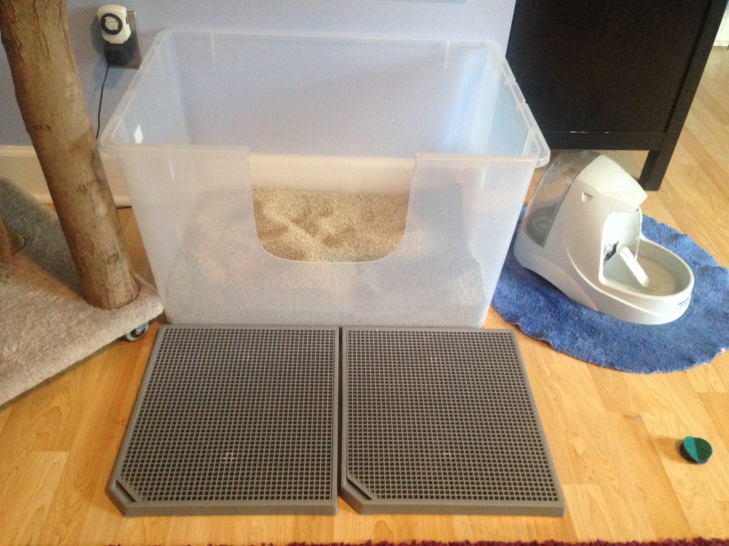 Litter boxes get the scoop! What kind, how many and where