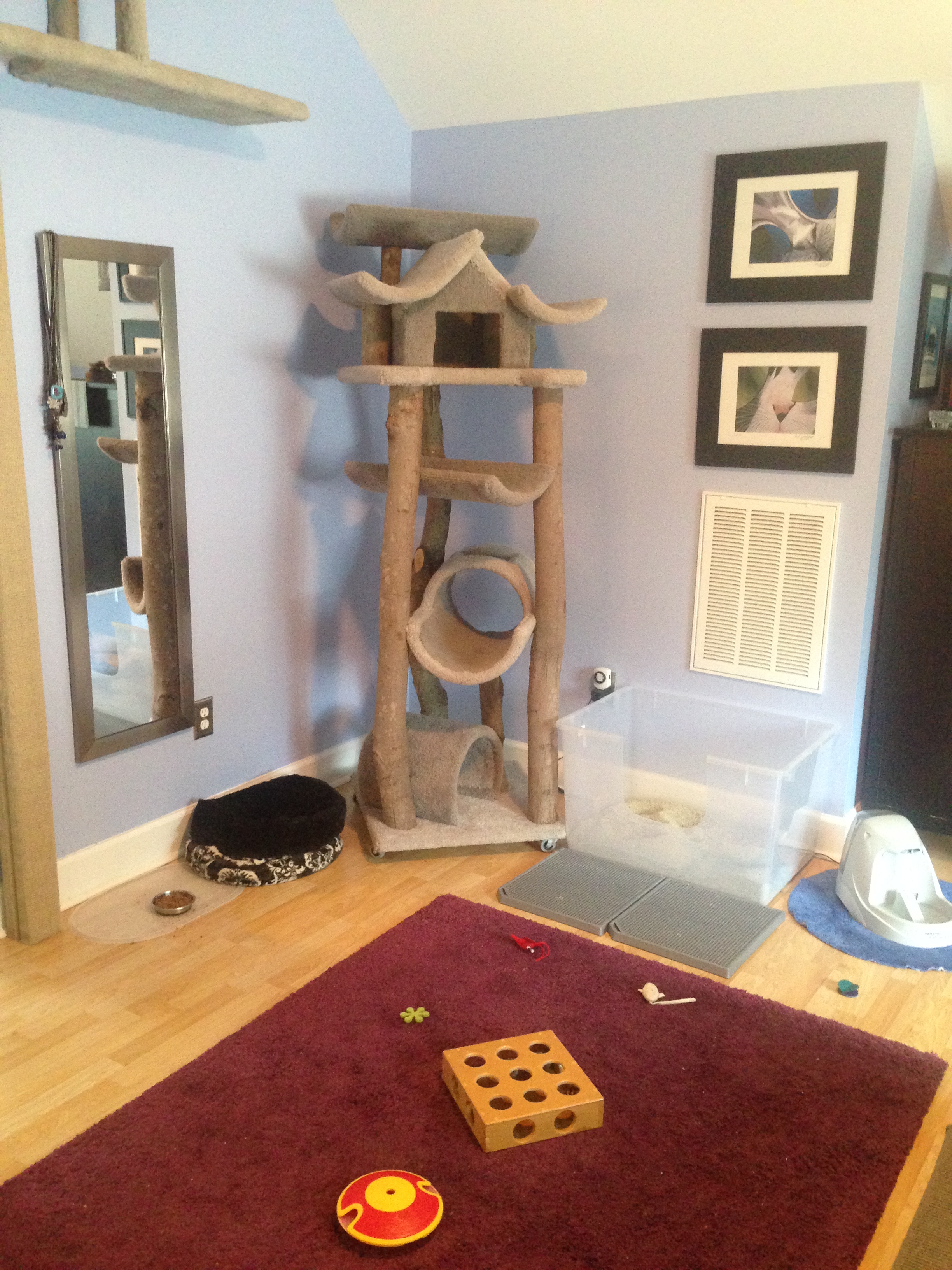 Master bedroom: can food bowl, water fountain, litter, foraging toys, & vertical space.