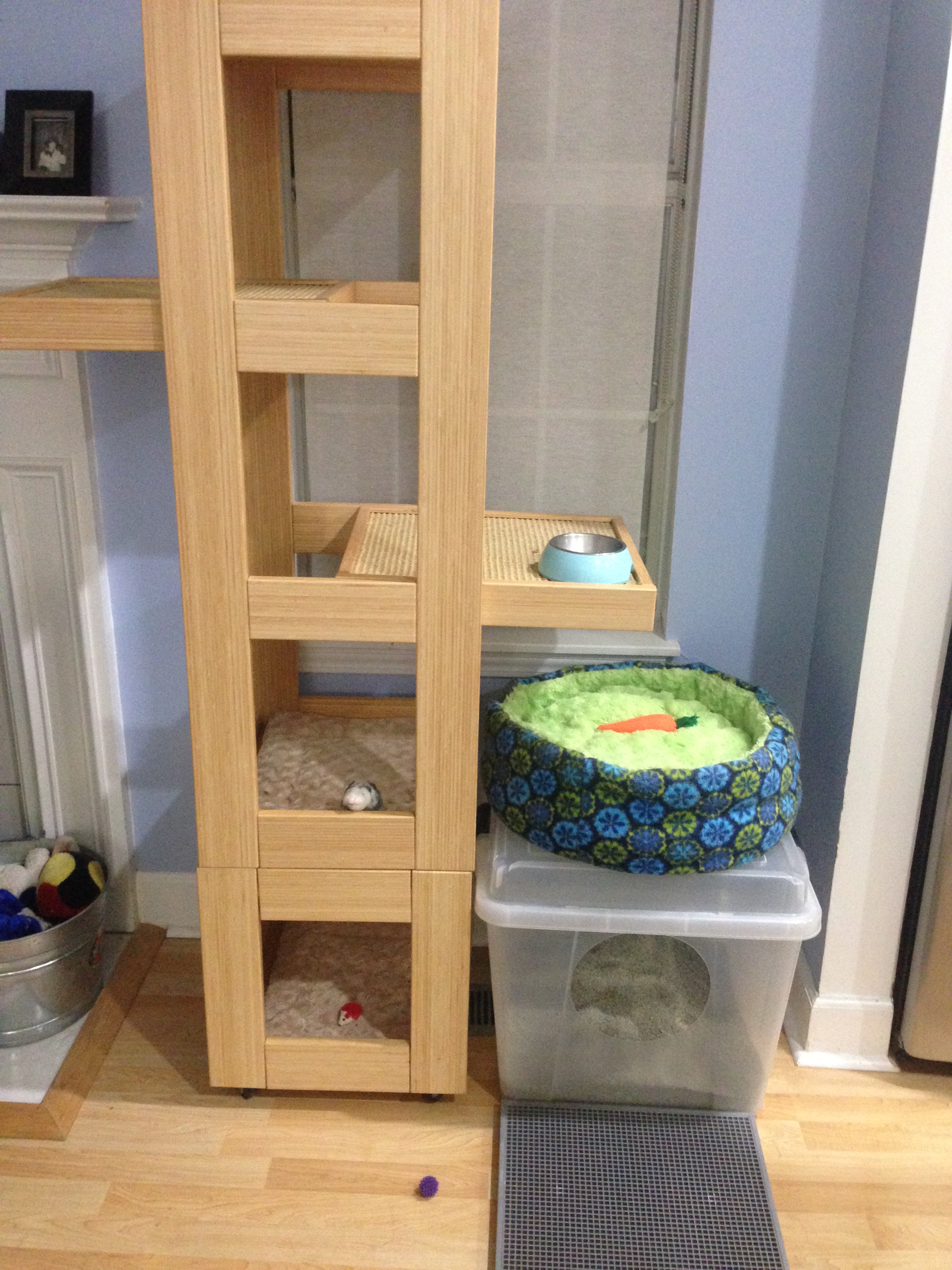 Food, litter and vertical space in 2 square feet! Food, litter and vertical space in 2 square feet!