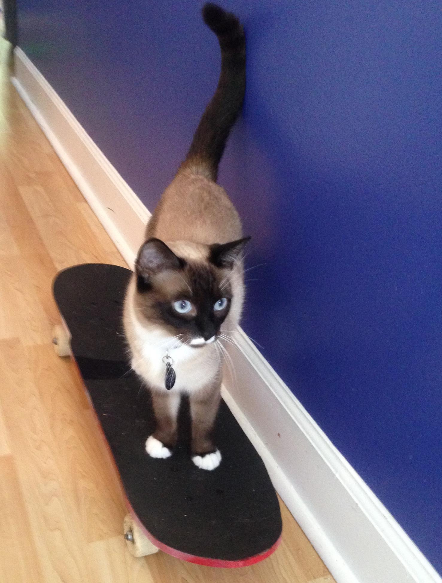 This girl LOVED her skateboard!