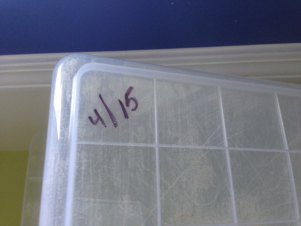 Litter boxes get the scoop part 2! What should it be filled with and