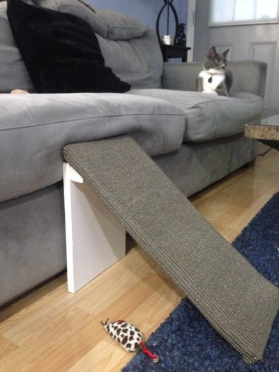 Scratch Ramp - Image 7