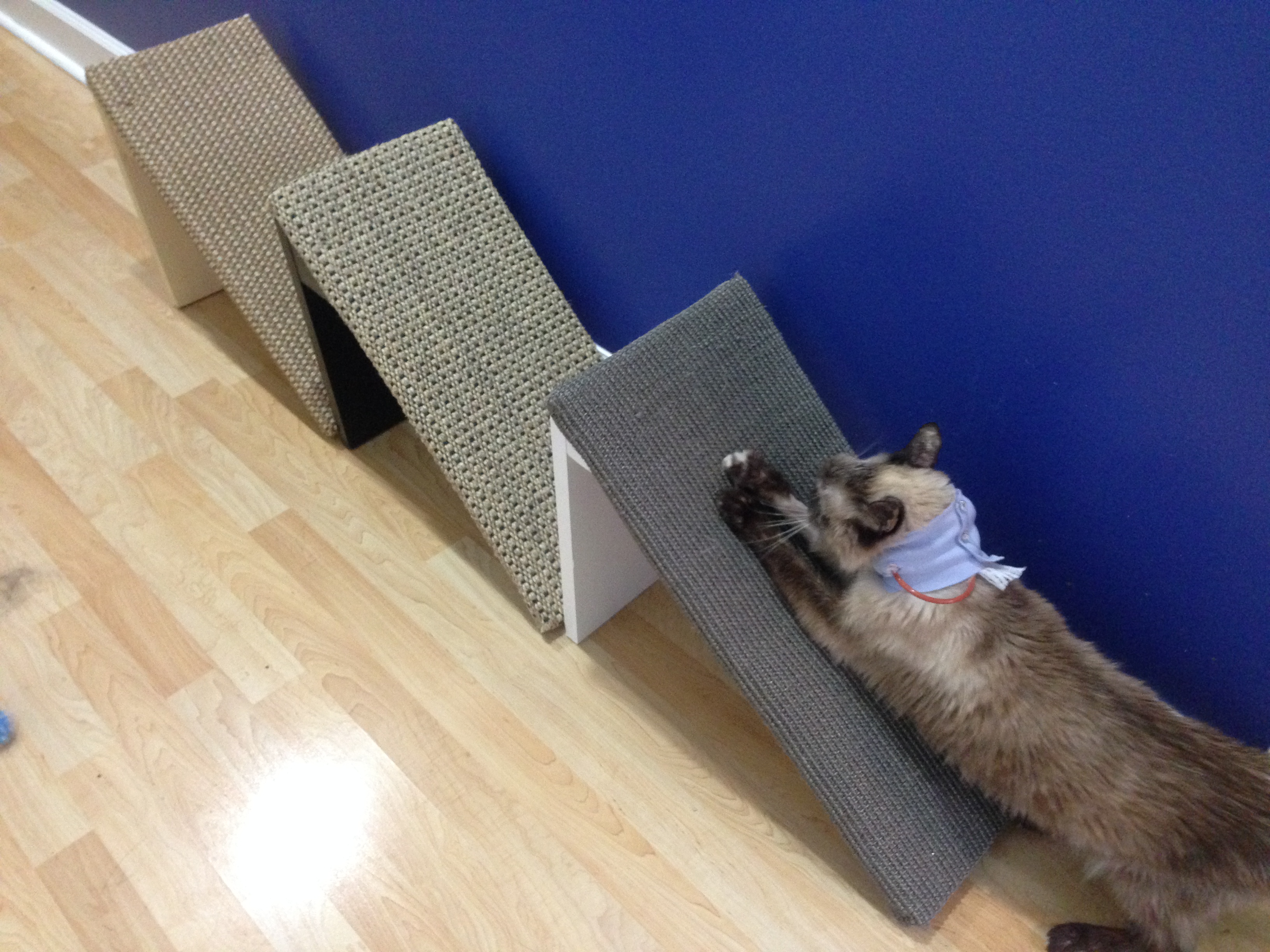 Demonstrating scratch pad use.