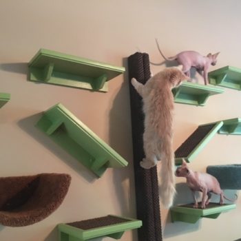 Wall Mounted Sisal Scratch Pole 6'