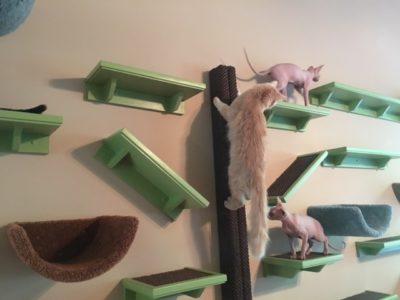 Wall Mounted Sisal Scratch Pole 6'